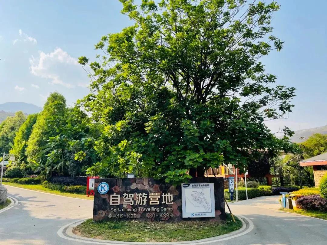 七彩温泉疗养身心，这个自驾房车营地太惬意了！