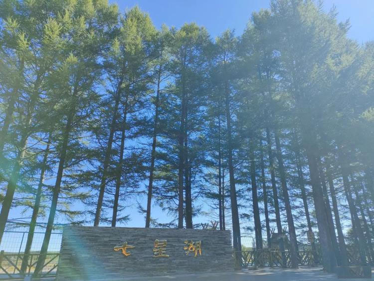 房车中国行|塞罕坝国家森林公园—地球上一抹夺目的“中国绿”