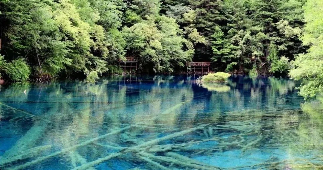这个夏天，我们赴了和草原的约